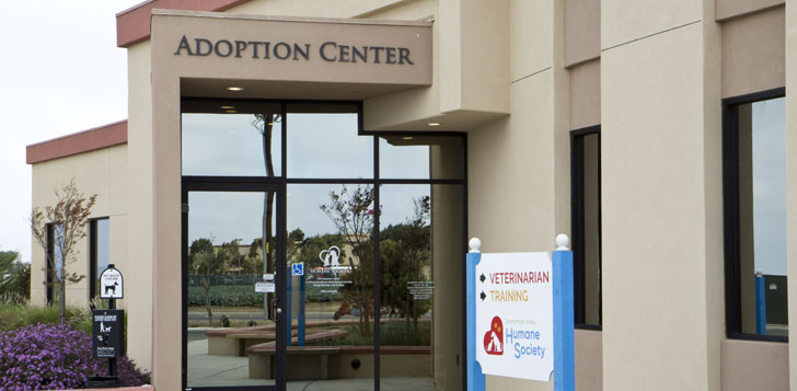 adoption center