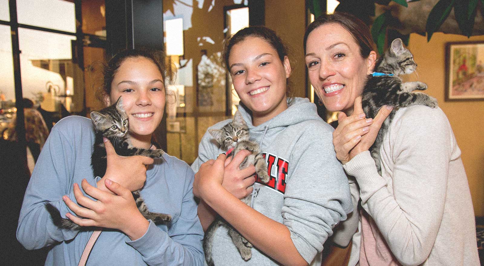 General Volunteer at the Humane Society