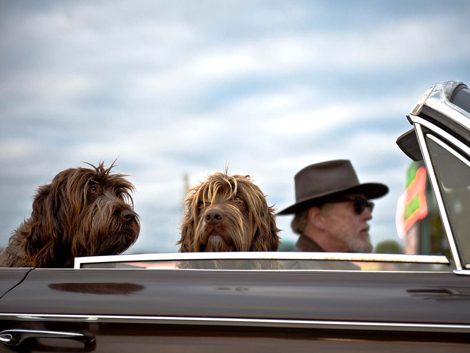 Humane Heroes Luncheon man with dogs