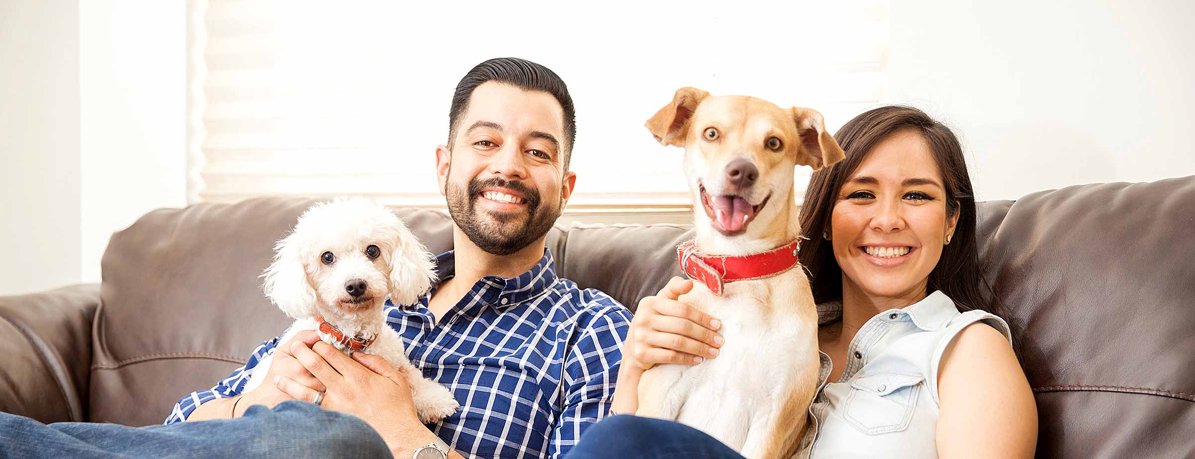 Bark-University-Dog-Training-Hispanic-family-home-page